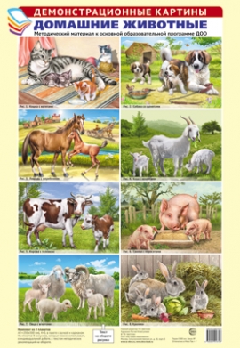 Демонстрационные картины А3. Домашние животные. Методический материал к основной образовательной программе ДОО (8 картин А3+, этикетка с текстом беседы на обороте)